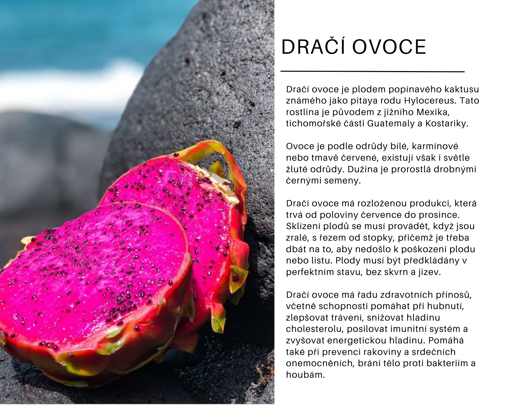 růžové dračí ovoce